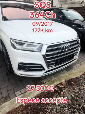 A post by @showparkauto_deutschland on TikTok caption: #sq5 #audi #bolideallemand #export #fyp 