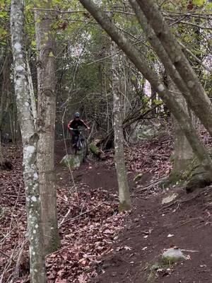 A post by @thibaut_rnd on TikTok caption: 🍁🍁🍁 banger ce trail 