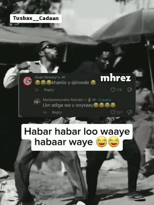 A post by @tusbax__cadaan on TikTok caption: Noloshaa Lisku Hayaa #😂😂😂 #fyp #foryou #foryoupage #somalitiktok12 #garissatiktokers💢🥰💖💥💦 