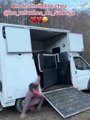 A post by @famillefavorelalicia on TikTok caption: La désensibilisation alias @les_reformes_de_Sadelya ( la meilleure dans le domaine mais jetait obligé 😂😂) la video complete chez sarah bientot #chute #van #cheval #apprentissage #lol #drole #onadore #mdr 