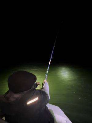 A post by @catching_dinosaurs on TikTok caption: Some bycatch chasing tarpon with my wife #fishing #florida #nightfishing #bullred #jackcrevalle #galveston #texas #vexanfishing #monsterfish #beach #suffix #tarpon 