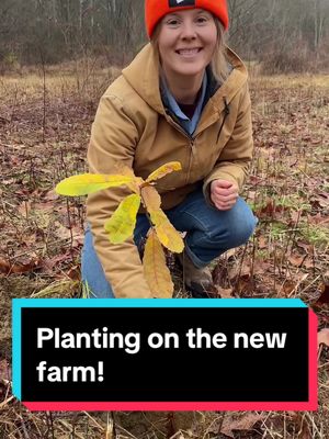 A post by @homegrown_handgathered on TikTok caption: Habitat management on the new farm! #offgridliving #nativehabitatproject #ecologytiktok #nativeplants 