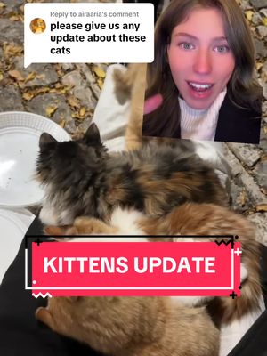 A post by @datrie on TikTok caption: Replying to @airaaria thank you so much @Lleoniex & mike🤍 & thank you ALL for sharing the video and making this happen🤍