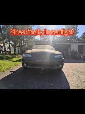 A post by @turboterry77 on TikTok caption: My son and I built her for 2 years in the garage and she is finally out in the Sunlight under her own power! #mustang #mustangcobra #svt #cobra  #twinturbo #ford #fastcar #builtnotbought #turbocharged #fast #fastcars #2step 