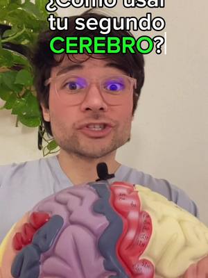 A post by @doctormiguelpadilla on TikTok caption: ¿Cómo usar tu segundo cerebro? ¿Qué? ¿Cómo? ¿Tenemos dos cerebros? #Enterogermina #publicidad #antibióticos #salud EnterogerminaF.F, Suspensión, Reg. No 544M2003 SSA VI Si persisten las molestias, consulte a su médico, lea las instrucciones de uso. Permiso de publicidad No. 213300201B0760 MAT-MX-2402305.01-18/10/2024