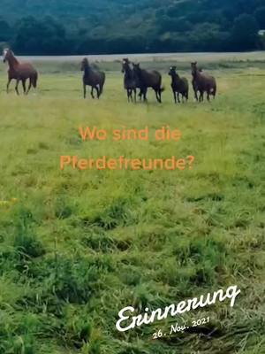 A post by @hobbyfarming2021 on TikTok caption: #erinnerung