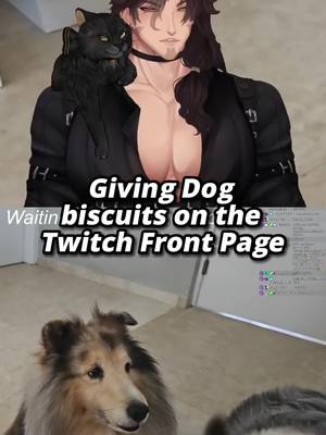 A post by @kindredspirityt on TikTok caption: My dog julie is a spoiled princess who keeps stealing her brothers' biscuits #kindredspiritvtuber #malevtuber #vtuber