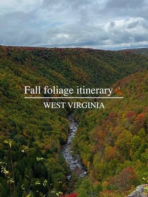 A post by @usa.explores on TikTok caption: 🚗 Ready for your next road trip from Washington DC? West Virginia’s scenic state parks are calling—fall colors and adventure await! 🍁🍂 Get ready for a colorful, leaf-peeping adventure through the Mountain State! @West Virginia Tourism ’s fall foliage is an absolute showstopper, and this guide will take you through some of the most scenic state parks and forests in the region. From waterfalls to overlooks, experience the best of Almost Heaven this fall! 🌲 Babcock State Park – Snap iconic shots of the grist mill framed by fiery fall foliage. 💦 Blackwater Falls State Park – Marvel at the famous waterfall and grab a pic at the #AlmostHeaven swing. 🏡 Bluestone State Park – Enjoy peaceful hiking and cozy cabin stays by the river. 🚠 Canaan Valley Resort – Take a scenic chairlift ride for panoramic valley views. 🏞️ Chief Logan State Park – Walk peaceful trails reflecting autumn’s beauty. 🌳 Coopers Rock State Forest – Don’t miss the dramatic overlooks and colorful canopy. ⛰️ Droop Mountain – History meets nature with stunning valley views. 🌅 Summersville Lake – Hike along cliffs or relax with lake views. 🍃 Tomlinson Run – End with serene trails perfect for a fall picnic. 💁‍♀️Travel Tips: ⏰ Best Time to Go: Mid to late October is peak fall foliage season in West Virginia. ❗️Don’t Forget: Pack your camera, comfy shoes for hiking, and a cozy sweater to enjoy the crisp fall air!  🏠Accommodations: Many parks offer cabins or lodges, perfect for a cozy stay while soaking in the fall views. SAVE this full guide for your next adventure! 🌄 #WVAdventures #MountainState #Waterfalls #AlmostHeaven #ExploreWV #westvirginia #statepark 