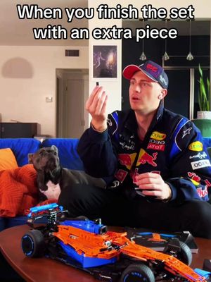 A post by @denvermcquaid on TikTok caption: Rocky’s reactions 😂 #lego 