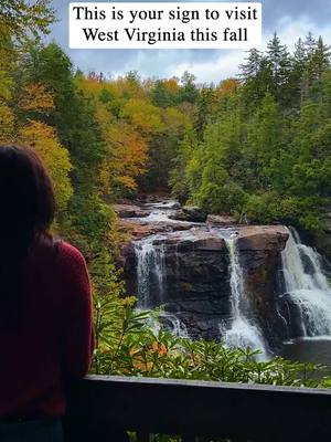 A post by @usa.explores on TikTok caption: Here’s your sign to visit ""Almost Heaven"" this fall! 🍂  Hey Washington! @West Virginia Tourism is calling all adventure seekers and leaf-peepers to experience West Virginia like never before. From stunning waterfalls 💦 and cozy cabins 🏡 to breathtaking mountain views 🏞️, the Mountain State is the perfect destination this season. Picture yourself swinging into serenity on the iconic #AlmostHeaven swing 🎡 or driving down Country Roads with the fall foliage as your backdrop! Whether you’re hiking, soaking in history in charming mountain towns, or chasing that perfect view, there’s no shortage of adventures waiting for you. 🚗💨 So what are you waiting for? Get ready to make memories in West Virginia this fall, tag your moments with #AlmostHeaven, and let’s see your best shots! 📸🍁 #WVAdventures #MountainState #Waterfalls #AlmostHeaven #ExploreWV #westvirginia #statepark 