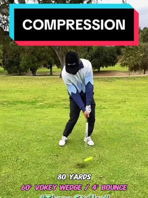 A post by @davefinkgolfs on TikTok caption: TIGER STRIKE 🐯🪧 #golf #golftips #golftiktok #golftok #tigerwoods 