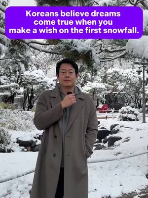 A post by @jaemkorean on TikTok caption: The first snowfall in Korea is so beautiful! ❄️✨ Have you made your wish yet? 🥰 These are the wishes that Chris Berry and Jiyong shared—what about yours? Let us know in the comments! 👇💬 #jaemkorean #learnkorean #koreanexpressions