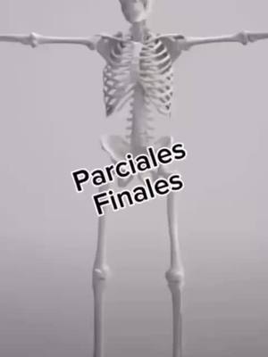 A post by @medicinauy on TikTok caption: #parciales #finales #exames #meme #musica #medicinauy