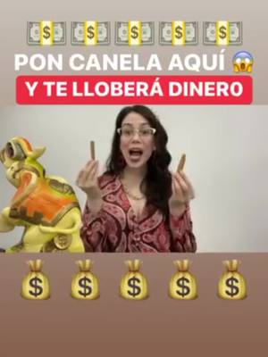 A post by @hijadenostradamusoficial on TikTok caption: #hijadenostradamus #parati #canela #abundancia #astrologia 