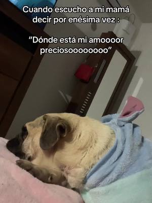 A post by @almamazzooco on TikTok caption: No fue pleaneado pero le quedo perfecto 🤣 #fyppppppppppppppppppppppp #guguselpug 