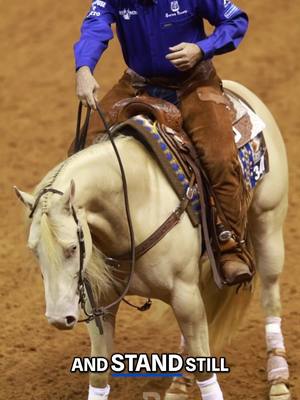 A post by @bluebonnet.feeds on TikTok caption: Reining run review! What was NRHA Futurity Champion Brian Bell thinking during his stops on Crystalized Whiskey? #nrha #reininghorse #nrhafuturity #equinenutrition #bluebonnetfeeds