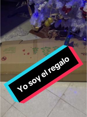 A post by @hous_elcarotas on TikTok caption: Me pidieron de regalo #comedia #navidad 