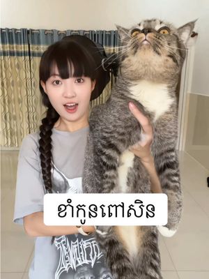 A post by @sek.kanchna on TikTok caption: ឆ្មាគេថតស្រួលម៉េះ🙄 #kanchnasek