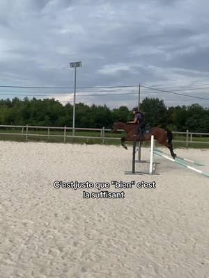 A post by @escale_and_candice on TikTok caption: On recherche la perfection  #pourtoi #foryou #passuffisant #viral #sport #equitation 