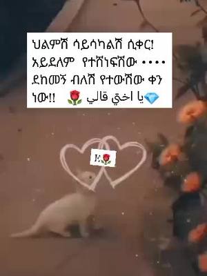 A post by @eifrah_2 on TikTok caption: #ኢፍራህየስይድሸጋእህት♥ 