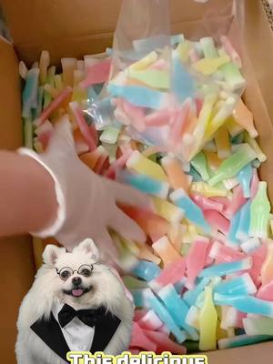 A post by @nicospicks6 on TikTok caption: Don’t miss this cute and fun candy!#dogsoftiktok #fyp #candy #sweet #deliciousfood #snack #NicoCoco #doglover #doglife #puppylife 