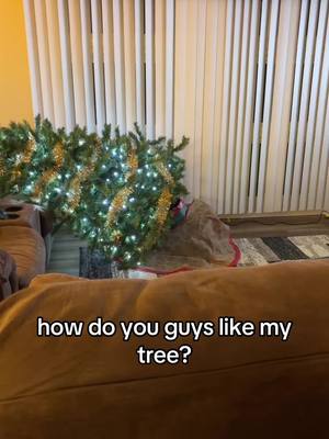 A post by @maci.pollitt on TikTok caption: its just a little crooked #christmas #christmastree #thanksgiving #fyp 