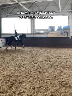 A post by @equ_voynova on TikTok caption: #конныйспорт #спорт #equestriansport #equestrianvibes #верховаяезда #спортсмен 