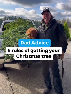 A post by @dadadvicefrombo on TikTok caption: PUT IT IN WARM WATER. I forgot to say that part. How to get a Christmas tree. Love, Dad