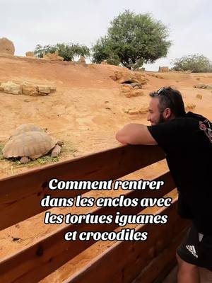 A post by @assoc.sofian.officiel on TikTok caption: #agadir #maroc #crocodile #tortue @CROCOPARC 