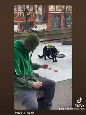 A post by @police_cat_amsterdam on TikTok caption: Thank you robin hood … it was nice to see you again :) @𝕽𝖔𝖇𝖎𝖓 𝕳𝖔𝖔𝖉 #Love #tiktok #meow #catsoftiktok #robinhood #petlover #happy #BlackTikTok #adventure #adventuretime #amsterdam 