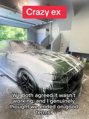 A post by @greenwooddetailingmi on TikTok caption: Why you should never ignore tbe red flags! #CapCut #foryou #fyp #fypシ #trending #foryoupage #detailing #storytime #satisfyingvideo #satisfying #ford #mustang #reddit #explore 