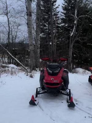 A post by @ontario_sledderz on TikTok caption: Quick vid🤷🏻‍♂️🤦🏻‍♂️ #skidoo #arcticat #summit850 #alpha #m8000 #alphaone #winter #bringwinter #sledding #winter2025 