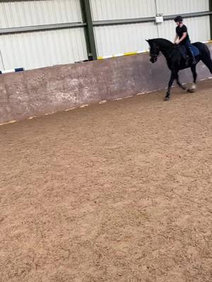 A post by @x.equine_eloise.x on TikTok caption: Dora today❤️#foryouu #pandora 