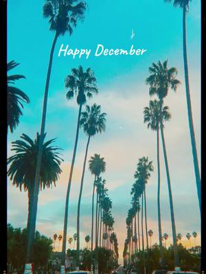 A post by @ishellee on TikTok caption: Whole lot of gratitude… happy December from me to you #LA 🌴