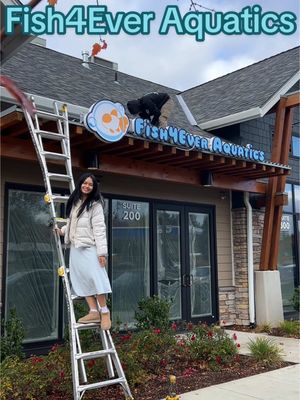 A post by @fish4everchannel on TikTok caption: 🫧🐠 we are one step closer! installing our sign at Fish4Ever Aquatics :) building my first fish store has definitely been challenging. 😅 so many lessons learned but we are so close to the finish line. I anticipate a grand opening sometime early 2025 🤓 we have all blueprints approved by the city and are now almost complete with build out. as you can see in the video we have all electrical, plumbing, painting, and flooring done. We even built a wall! I’ll be uploading a video soon on more details of the progress so far 🤭🩵 as for the sign, it’s a custom LED sign made to be electrically cost effective 🌎💡♻️ #fishtok 