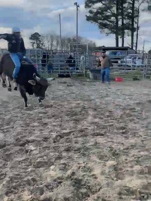 A post by @thewildbearing on TikTok caption: Just jumpin around #bullriding #bewild #staywild #thewildbearing 