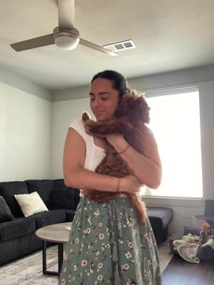 A post by @espimartinez719 on TikTok caption: Cuando mi leila estaba mas chiquita 🥹💗#minigoldendoodle #fyp 
