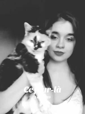 A post by @ali.love.24 on TikTok caption: #cejour-là