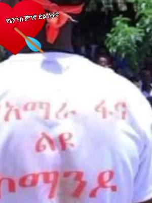 A post by @raeel16 on TikTok caption: #የኔንጉስ👑❤#የኔ➻ፍቅር➻♥🦋🥀🔐🎧🎻🥀💫🔥🌎 #አማራዬ💚💛❤አማራዬ💚💛❤#እናትዋጎንደርዬ🇦🇹🔥✊🇦🇹🇦🇹💝ሀገር #የኔጀግናወንድም#የኔንጉስ👑❤  #ethiopian_tik_tok #የኔንጉስ👑❤ 