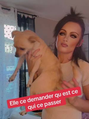 A post by @la_brune_de_normandie on TikTok