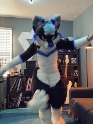 A post by @reverbthehusky on TikTok caption: Im not a dancer #furrytiktok #fursuit # #furryfandom #furry