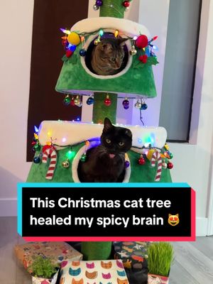 A post by @one_eared_uno on TikTok caption: I got my cats a Christmas cat tree and it healed my spicy brain 😻  w/ @Kat Curtis @ItsGoodBurgerEd & @Milkers  #cats #cattree #catchristmastree #christmas #holidays #oneeareduno #twoeareddos 