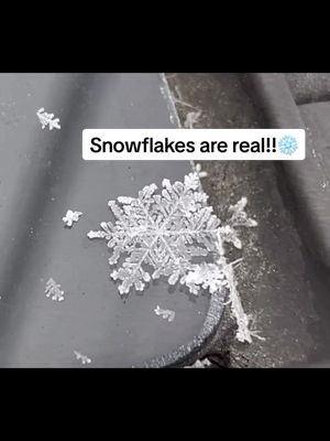 A post by @daaniholiveiraa on TikTok caption: Snowflakes are real! ❄️✨  #snowflakes #snowfall #snowflakes❄️ #foryou #foryourpage #snow 