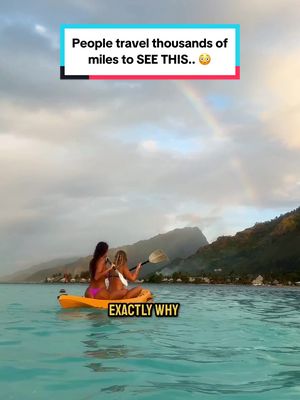 A post by @travelwithjaro on TikTok caption: Still in SHOCK over this experience 🫠 After traveling to the islands of French Polynesia, which took over 36+ hours to get too from Europe, I was excited to say the least.. After gathering all of my silly best friends and linking up with the WildMa boat crew, we saw something in the water that we’ll never forget, this was straight out of 🐋 THE MOANA MOVIE  Like someone pinch me please. It’s hard to know whether this is real life or not. Traveling to places like this truly make you feel like you’ve stepped back in time and connected with something.. Much greater than ourselves. Endlessly grateful for this trip with our friends, and can easily say i’ll be coming back. Now would you ever travel to French Polynesia for something like this?! 🥰✨ #travel #traveltok #beautifuldestinations #travelexperience 