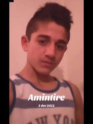 A post by @samyvasile1 on TikTok caption: #amintire