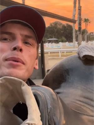 A post by @evans_world on TikTok caption: LINK IN BIO! Watch this entire video on my YouTube channel “Evan’s Horses & Humor” Look for the video titled ‘This is me, a horse groom’ #Horsesandhumor #horse #equestrian 