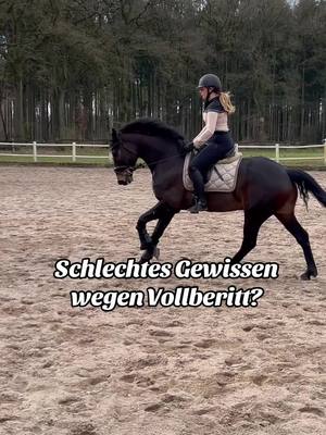 A post by @horsediaries.de on TikTok caption: Würdet ihr euer Pferd auch in Beritt geben, wenn ihr wenig Zeit habt? Wenn nein, warum nicht? #reitsport #dressurpferd 