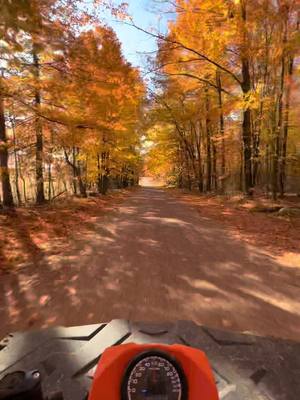 A post by @officialsledgoon on TikTok caption: 🍂🍁💨  #fall #leaves #color #peakcolor #autumn #fourwheelers #polaris #sportsman #570 #upnorth #sledgoon 