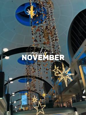 A post by @megan_courtney__ on TikTok caption: November dump #november #novemberdump #2024 #fyp #foryouu 