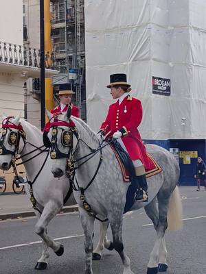 A post by @windsorcastlequeensguard on TikTok